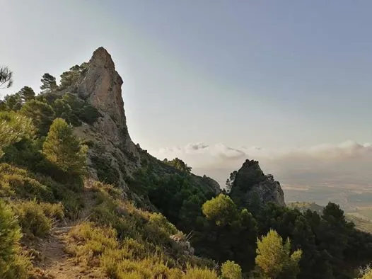 Miersalud mirando Amanecer en montaña