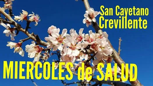 Miersalud San CAYETANO de Crevillente