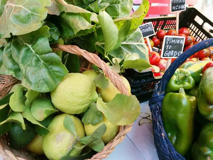 Muestra-mercado de pequeños agricultores ecológicos y artesanos