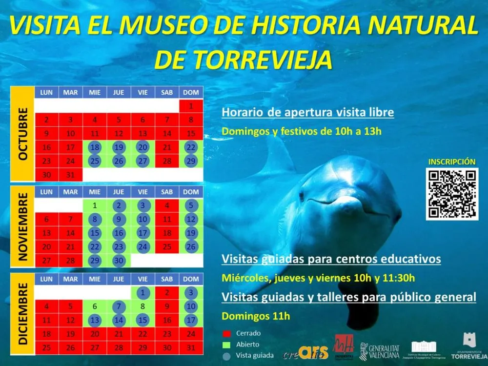 Museo de Historia Natural de Torrevieja Octubre-Diciembre 2023