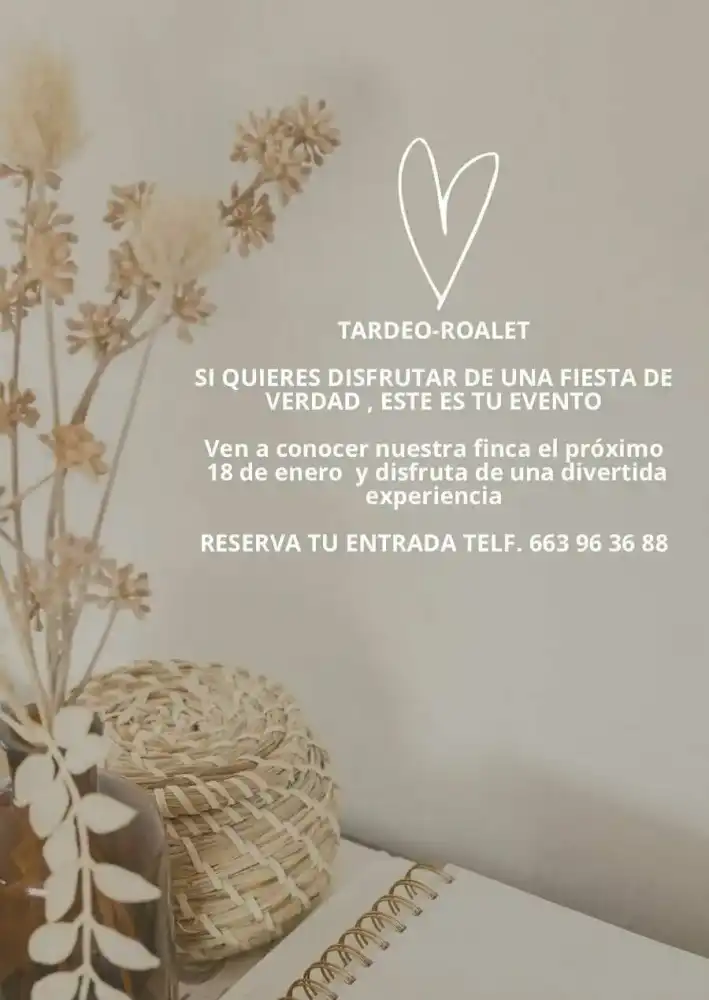 My Wedding Day VII