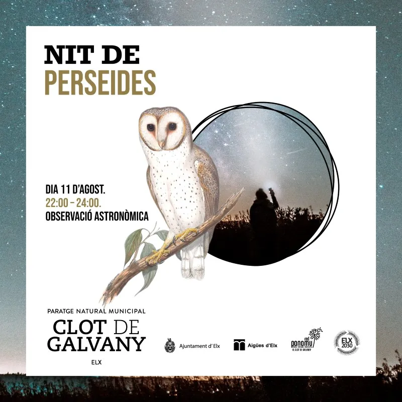 Noche de Perseidas en el Clot de Galvany