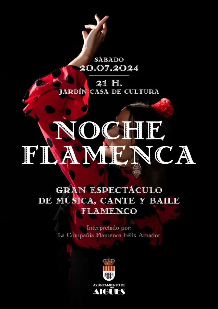 Noche Flamenca – Música, Cante y Baile