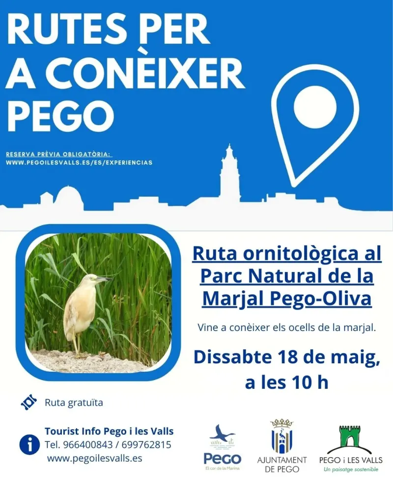 Observación de aves en el Marjal