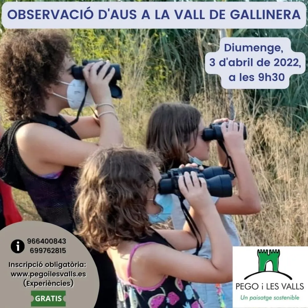 Observación de aves en Vall de Gallinera