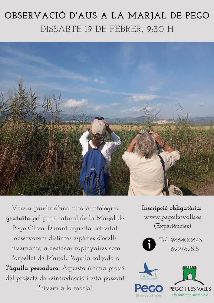 Observación de las aves en la Marjal de Pego