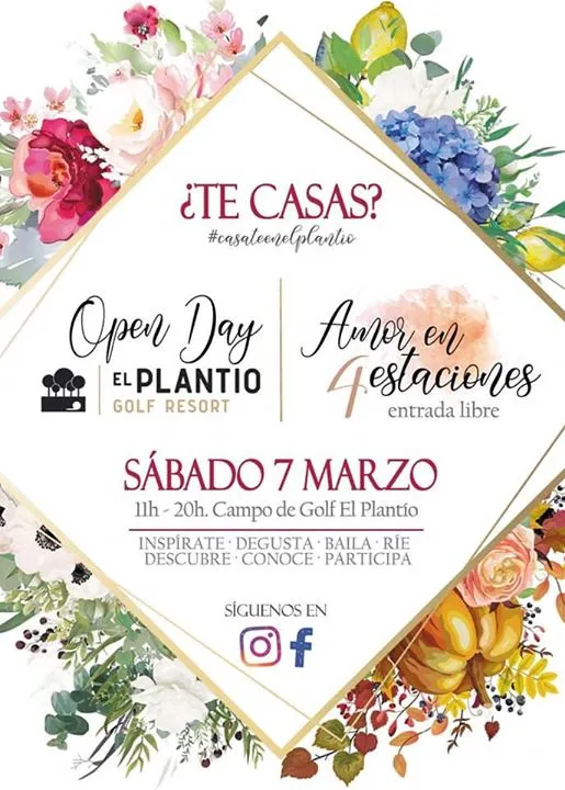 Open Day. Amor en 4 estaciones