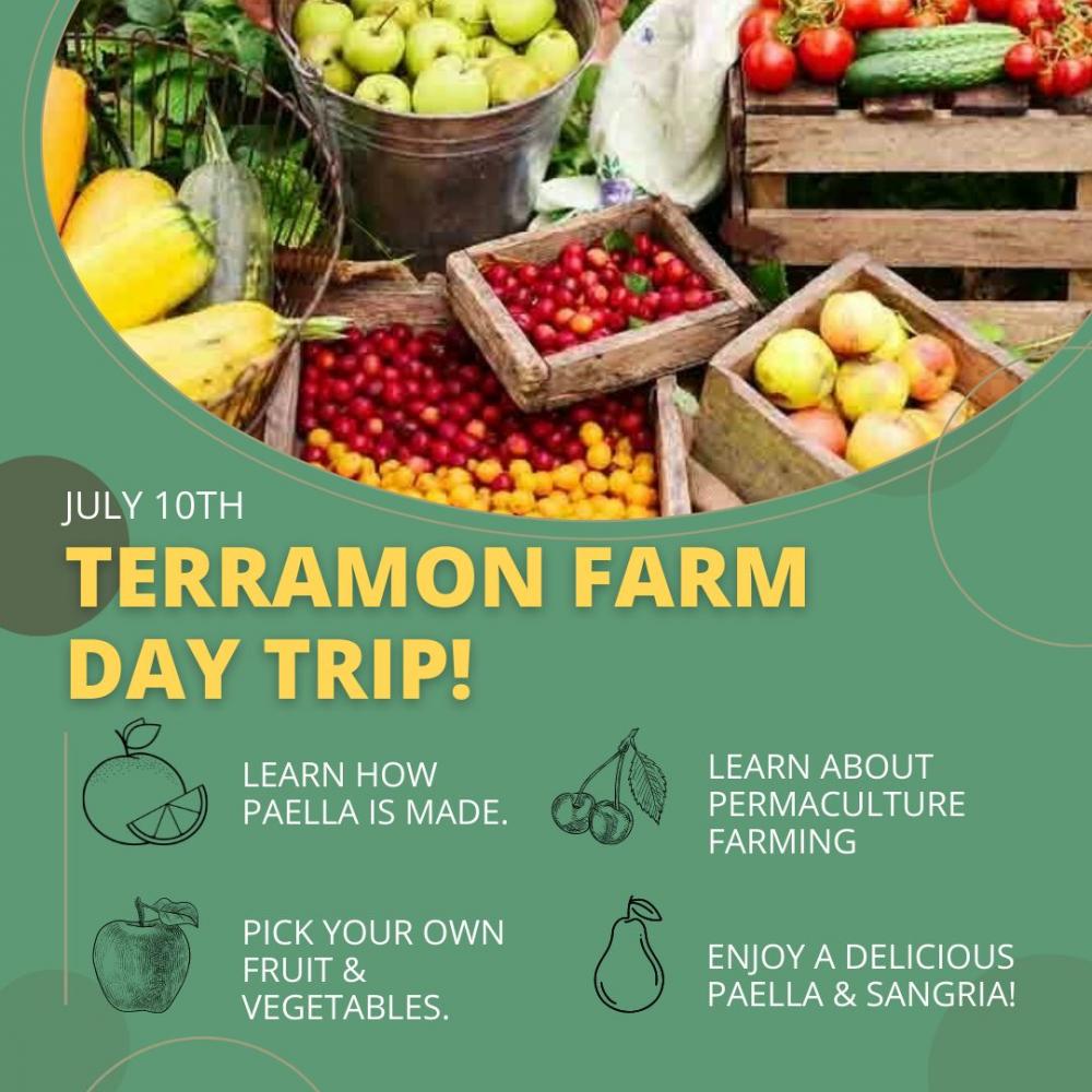 Paella & Sangria Lunch + Pick your own fruits & veg at Terramon Farm