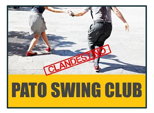 Pato Clandestino