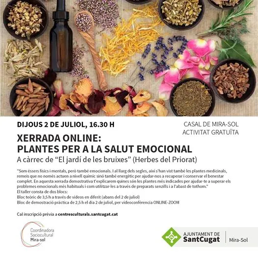 Plantes per a la salut emocional