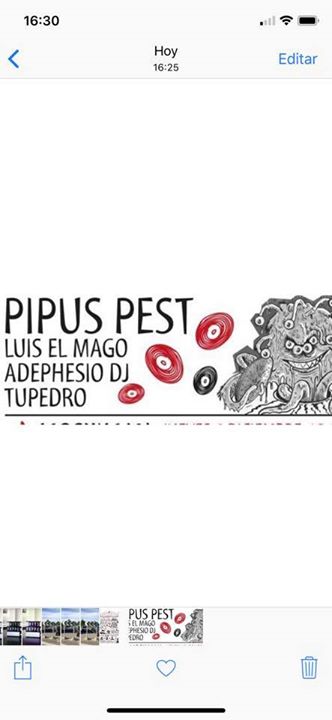 Presentación PIPUS PEST