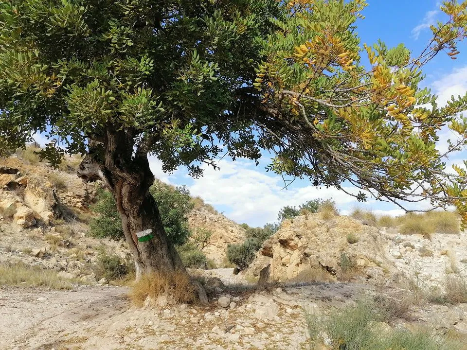 Quebradas de Santa Pola