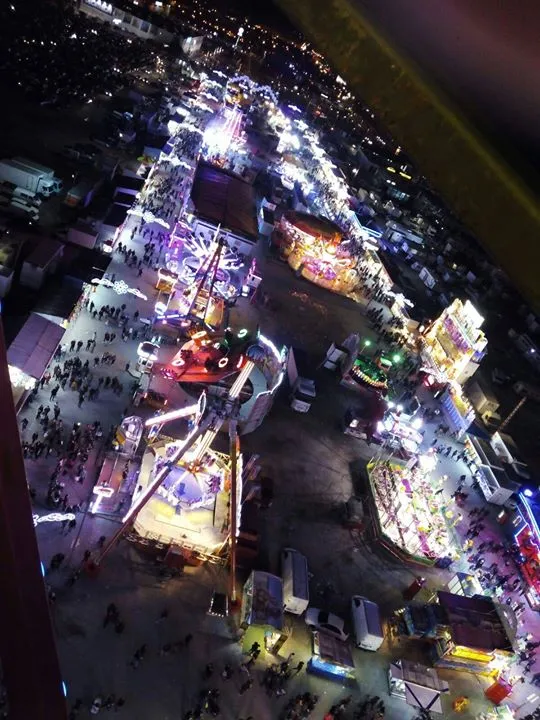 Recogida de alimentos - Feria de Navidad Alicante