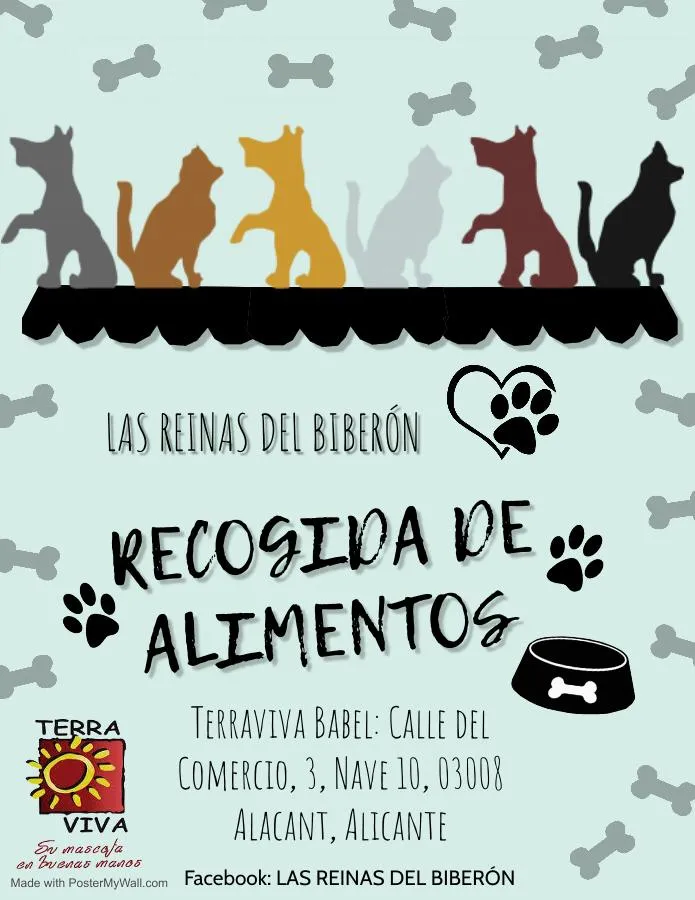 Recogida de Alimentos y cachorros en adopción