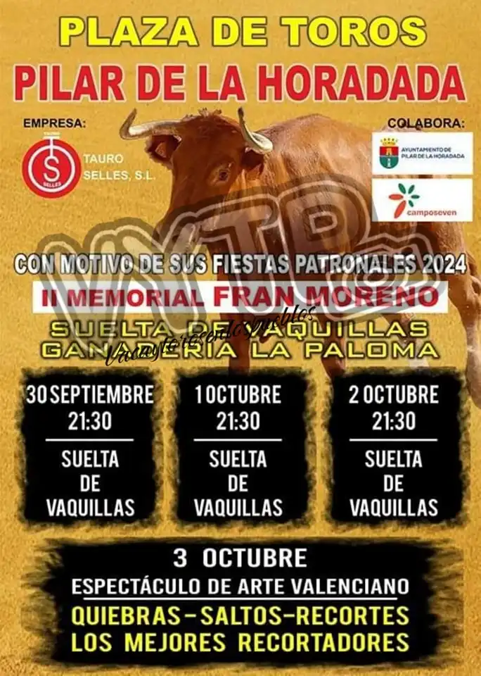 Recortadores ► Fiestas Patronales Pilar de la Horadada 2024