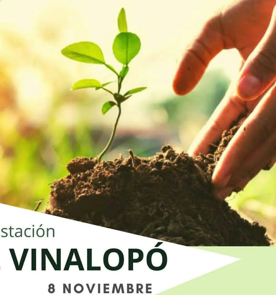 Reforestamos Aspe. Inscripción por Whatsapp