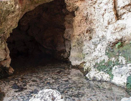 Ruta al "Nacimiento del río Vinalopó"