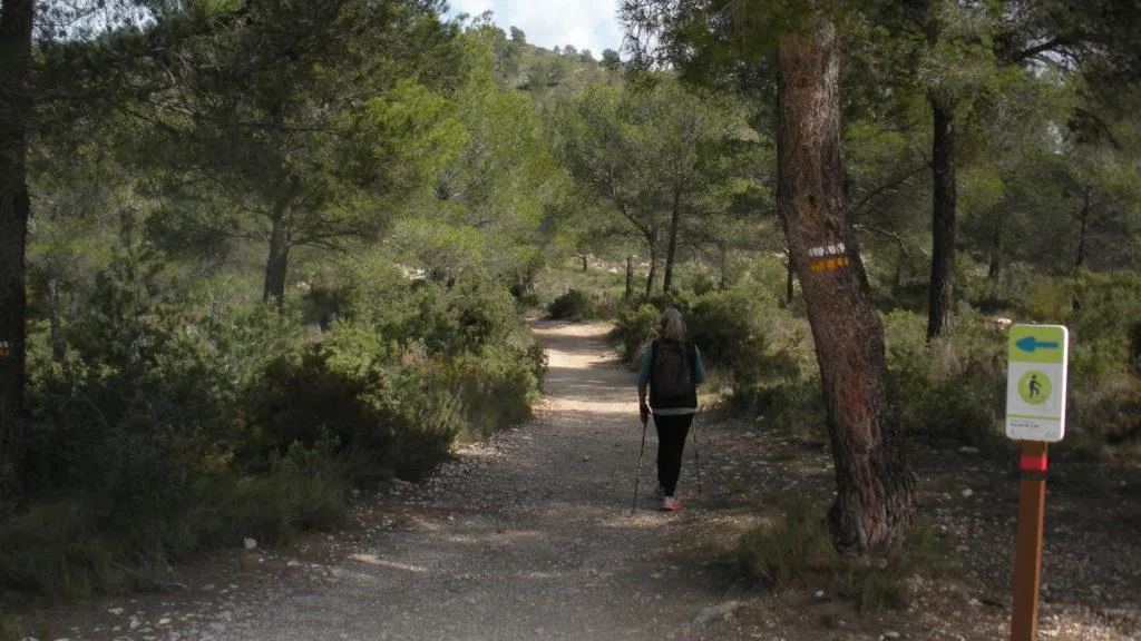 Ruta circular de Marcha Nórdica, Rabosa-Xorret de Catí Rabosa