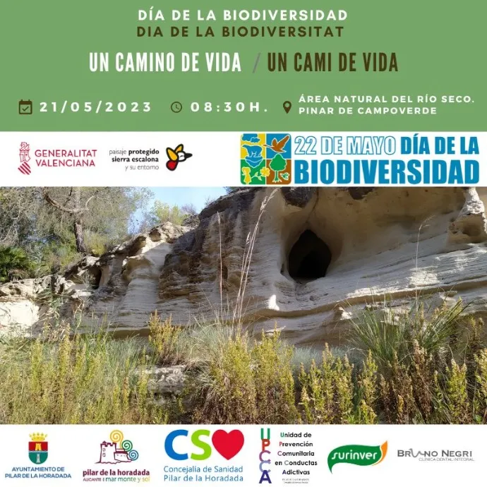 Ruta de Senderismo hacia la "Fuente del Siscar" en Pinar de Campoverde con Motivo del Día de la Biodiversidad- un Camino de Vida