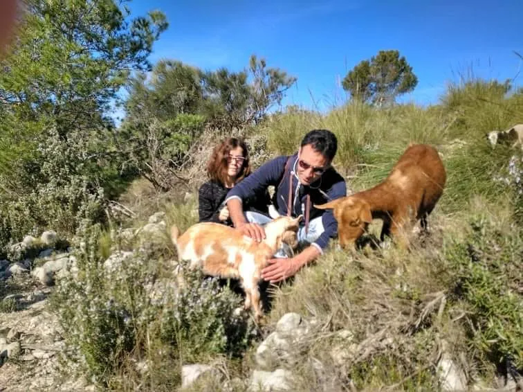 Ruta del pastoreo por Tibi
