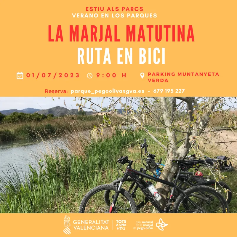 Ruta en bicicleta por el Marjal