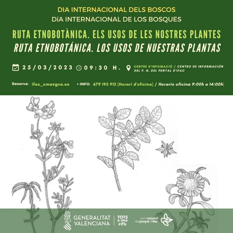 Ruta etnobotánica: los usos de nuestras plantas - Día Internacional de los Bosques