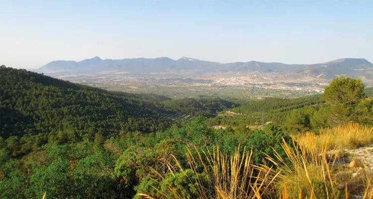 Ruta gratuita de senderismo interpretativo por la Sierra de Onil