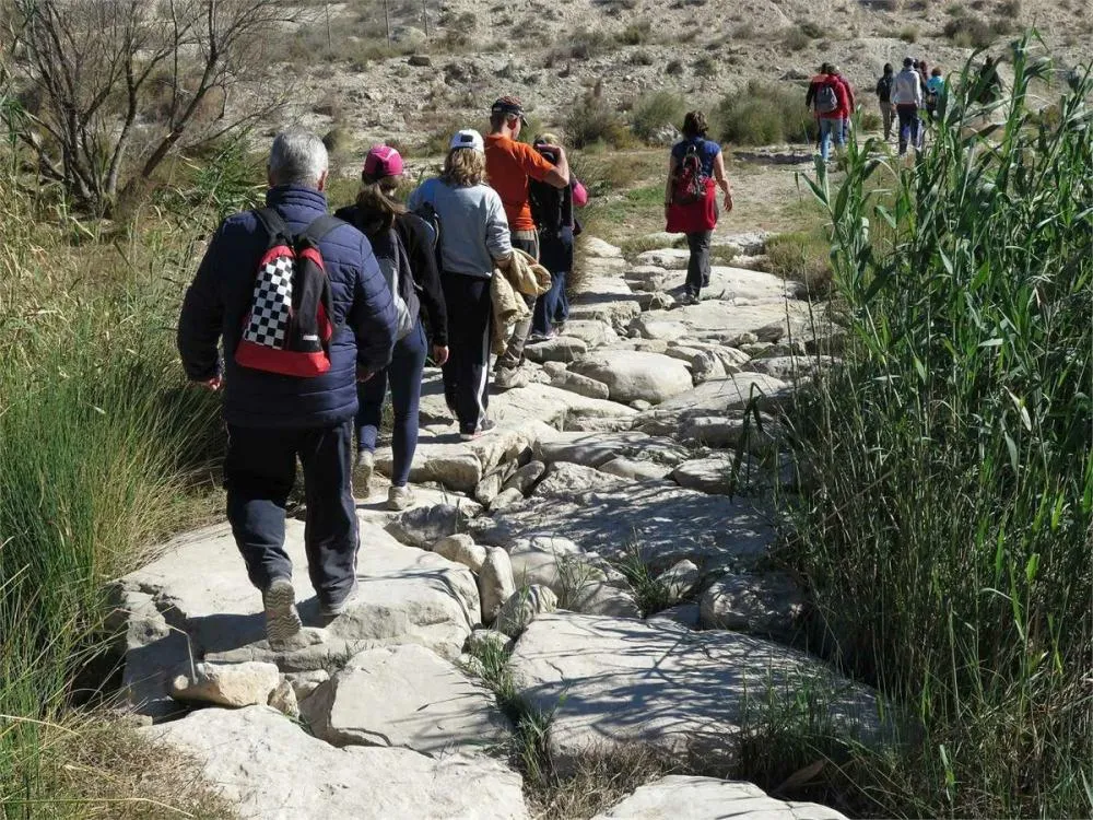 Ruta Guiada "Assut de Sant Joan-El Cantalar"