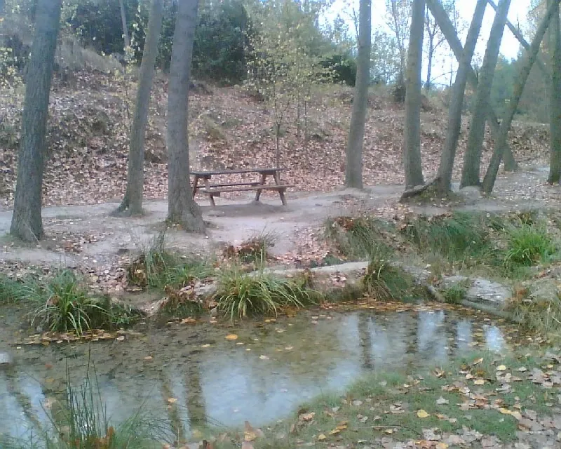 Ruta juvenil Raco de san Bonaventura