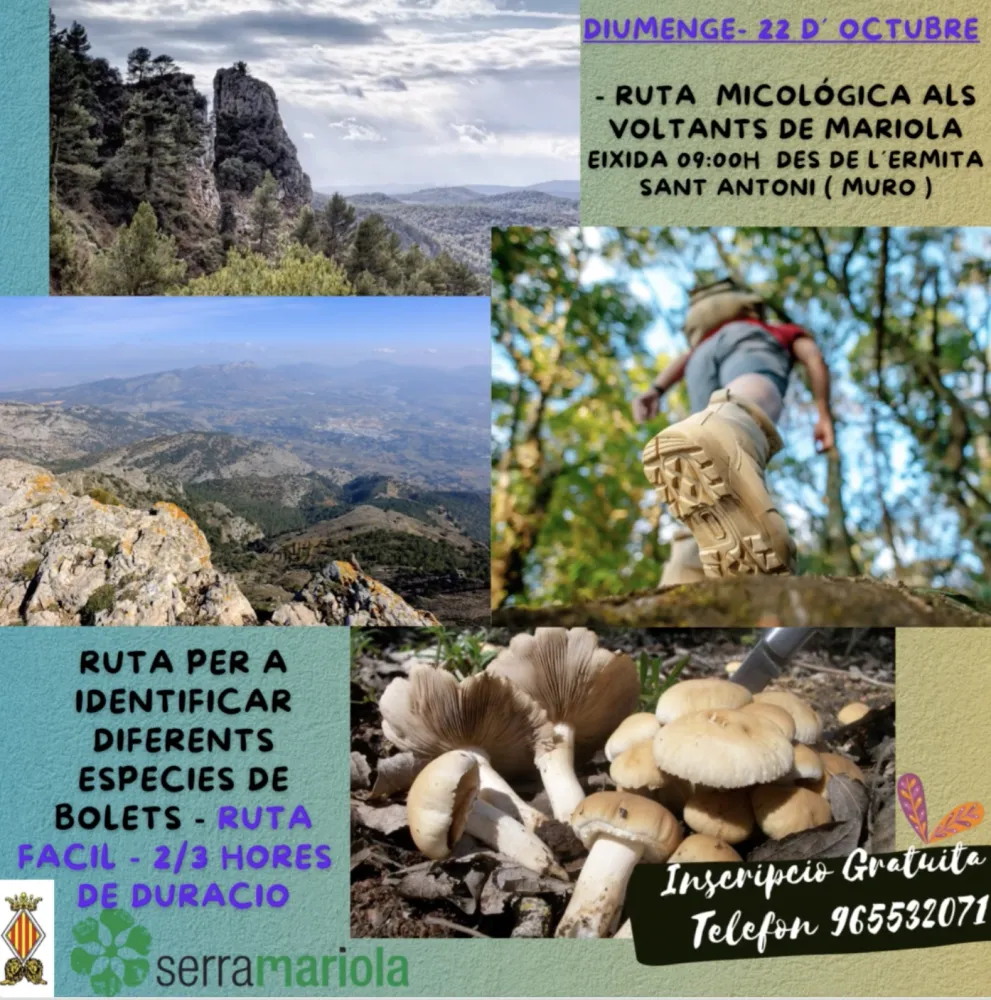 Ruta Micológica als Voltants de Mariola