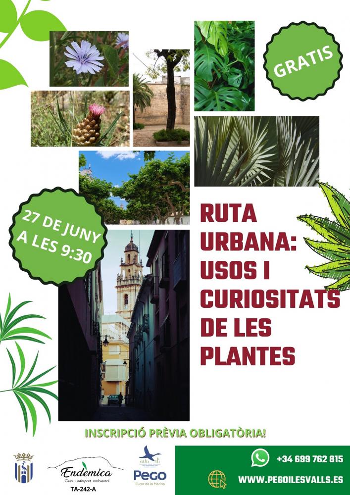 Ruta urbana: Usos y curiosidades de las plantas