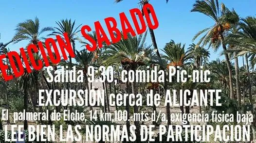 Sabado: Palmeral de Elche y mucho mas