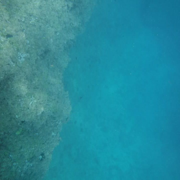 Salida a snorkelear a Cala Finestrat
