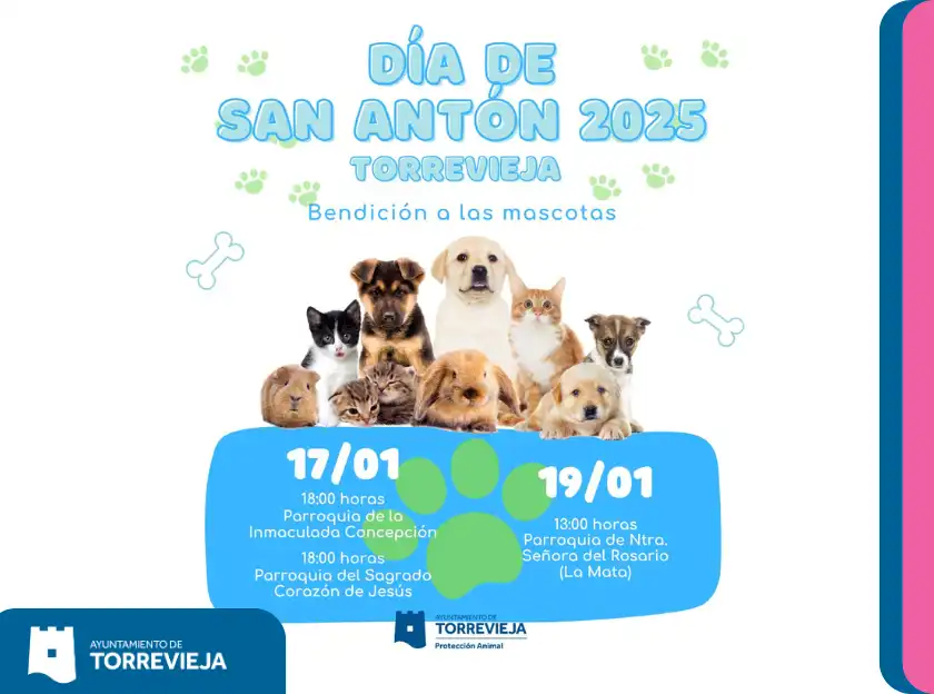 San Antón Torrevieja 2025