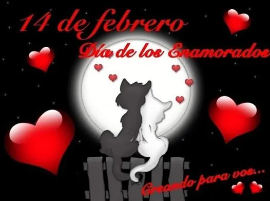 San Valentín En Cat Relax