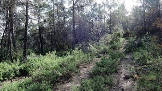 Senderisme per la Serra de Biar