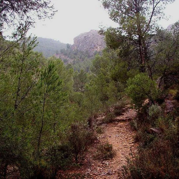Sierra de Orihuela Millamon