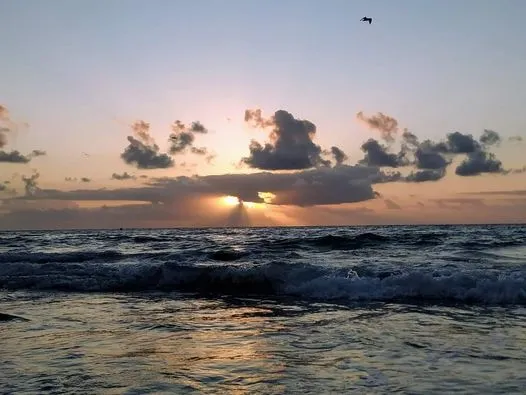 Sunrise Yoga Nidra Meditation - Playa de la Mil Palmeras