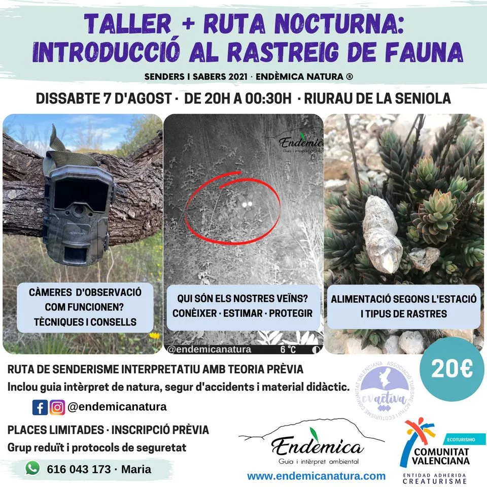 Taller + ruta de rastreig de fauna nocturna (introducció)