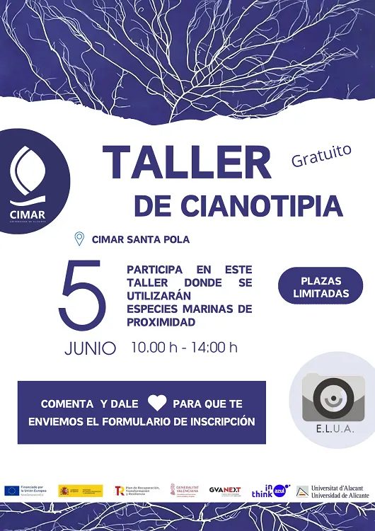 Taller Cianotipia