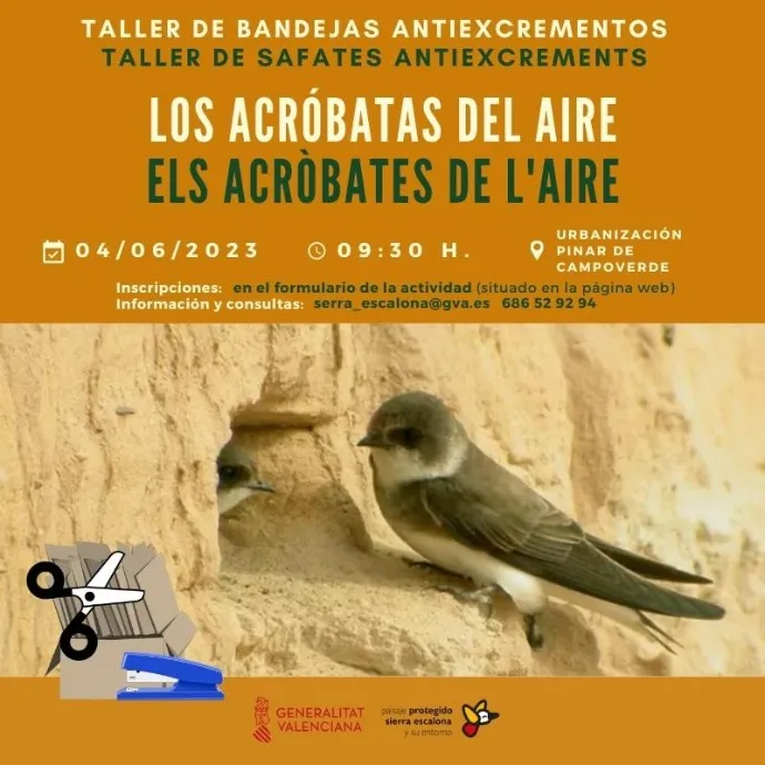 Taller de Bandejas Antiexcrementos: los Acróbatas del Aire