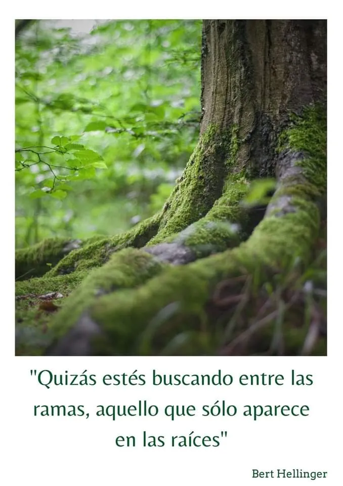 Taller de Constelaciones Familiares