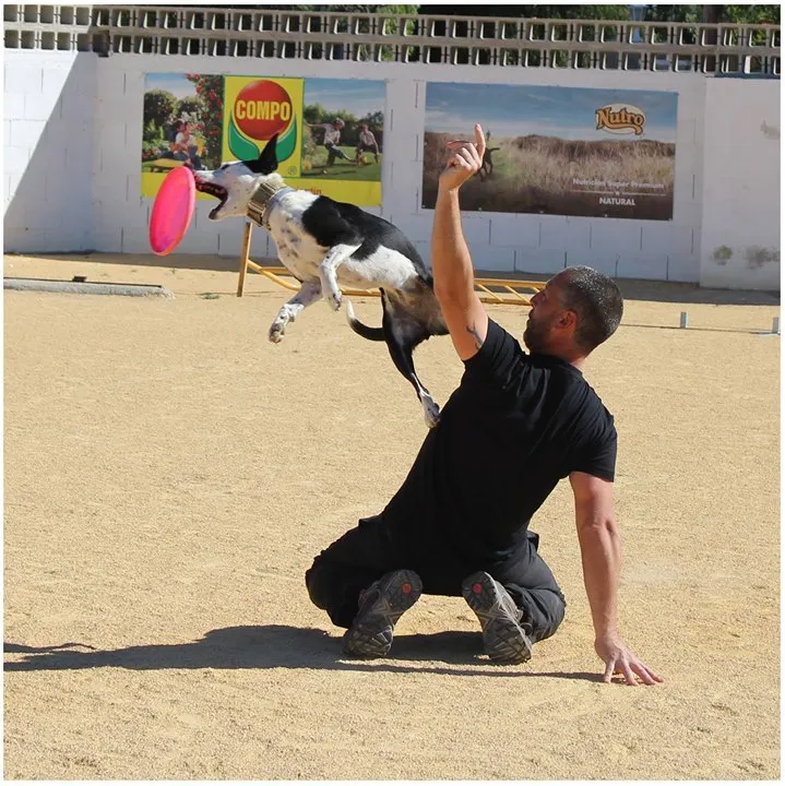 Taller de Disc Dog con Quique Esparcia