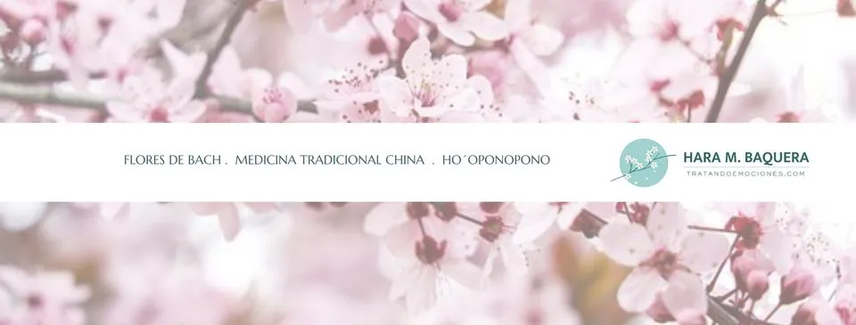 Taller De perfumes en Bañeres