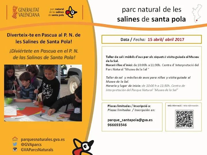 Taller de sal y móviles de aves