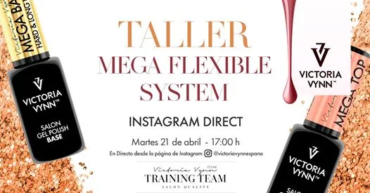 Taller gratuito y online del sistema Mega Flexible y Dust