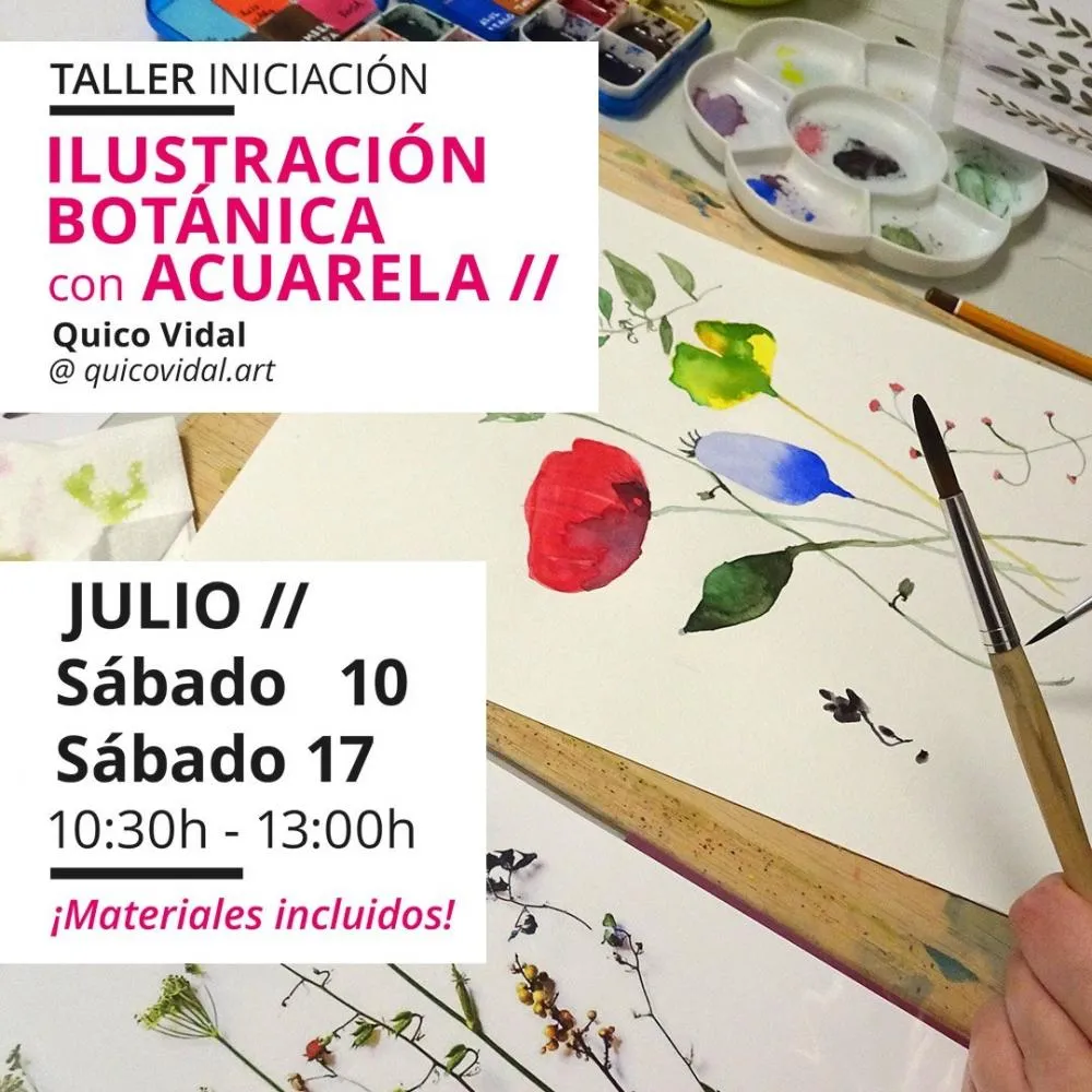 Taller ilustración botánica con acuarela con Quico Vidal