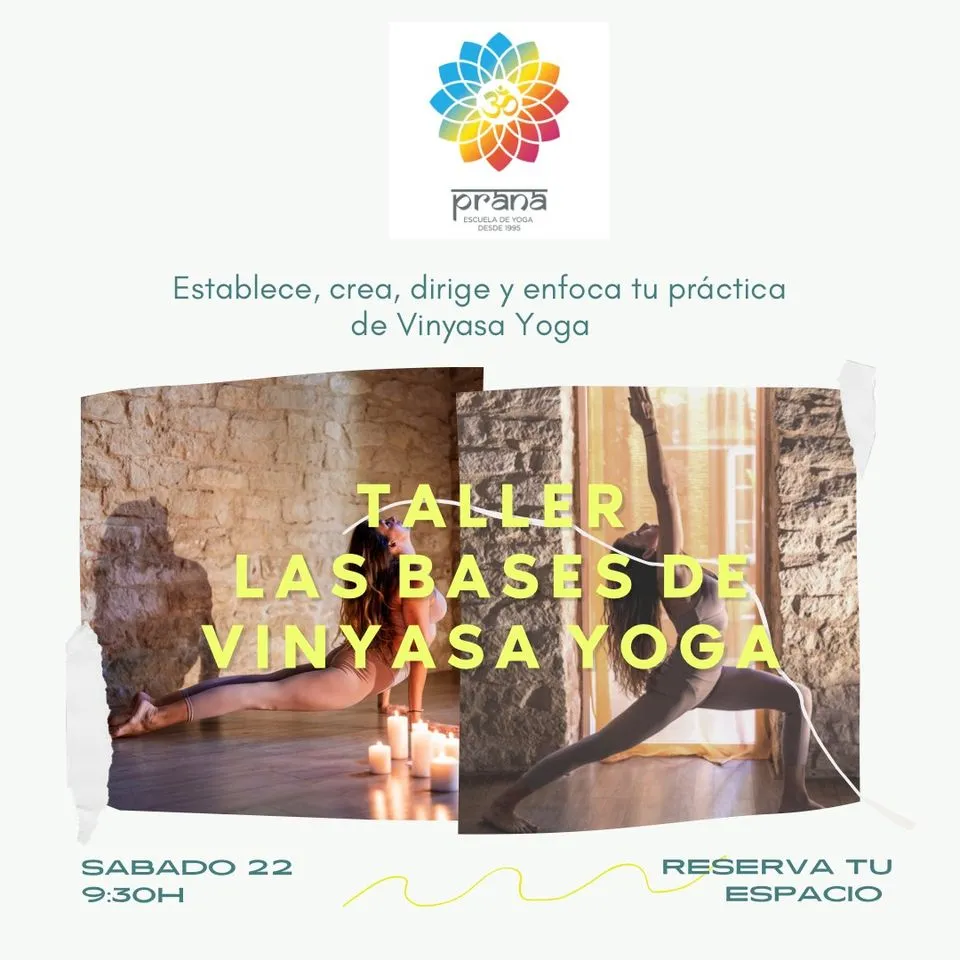 Taller Las Bases de Vinyasa Yoga