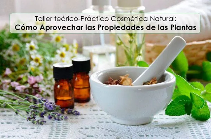 Taller: Cómo Aprovechar las Propiedades de las Plantas