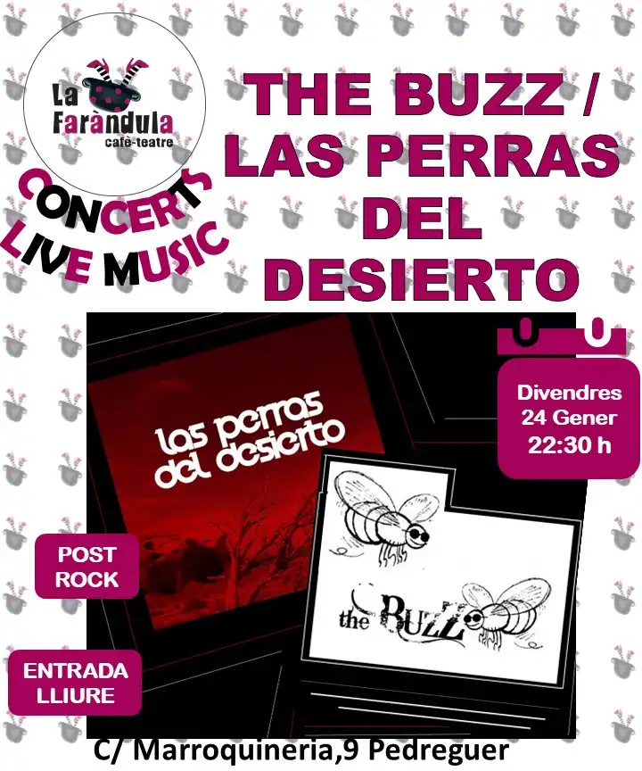 The Buzz las perras del desierto en concierto